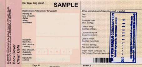 CPP 13 reverse  Sample copy of a stamped passport "not for human consumption", picture 2.