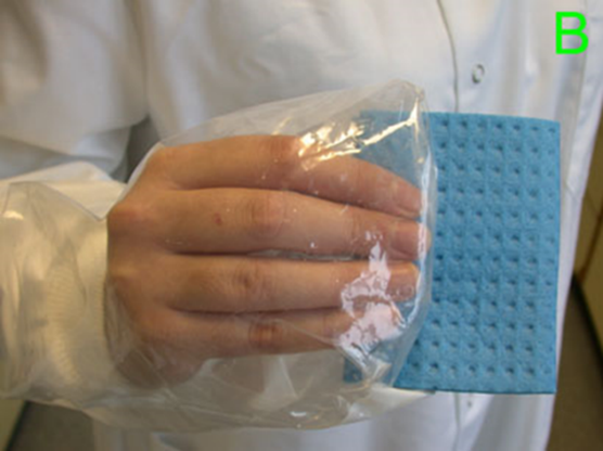 An operative holding a sponge swab through the sterile plastic sample bag with the bag folded back over the hand to expose the sponge without contamination