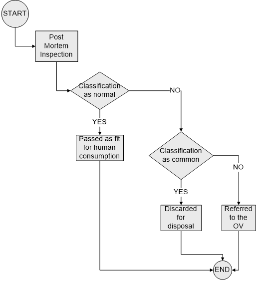 Flow diagram showing the decision tree for post-mortem inspection.