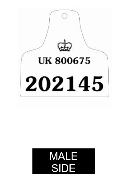 Secondary Tag Male Example of male side of secondary ear tag option 1