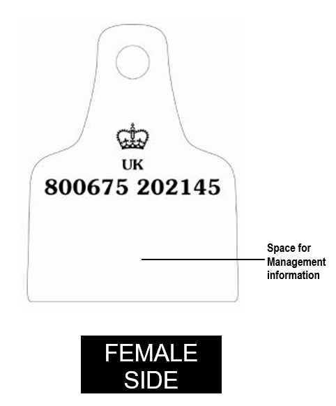 Secondary Tag Female 1 Example of female side of secondary ear tag option 1