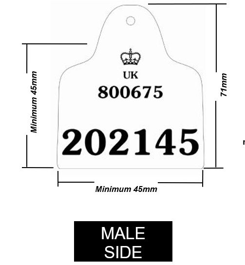 Primary Tag Male 1 Example of male side of primary ear tag option 1