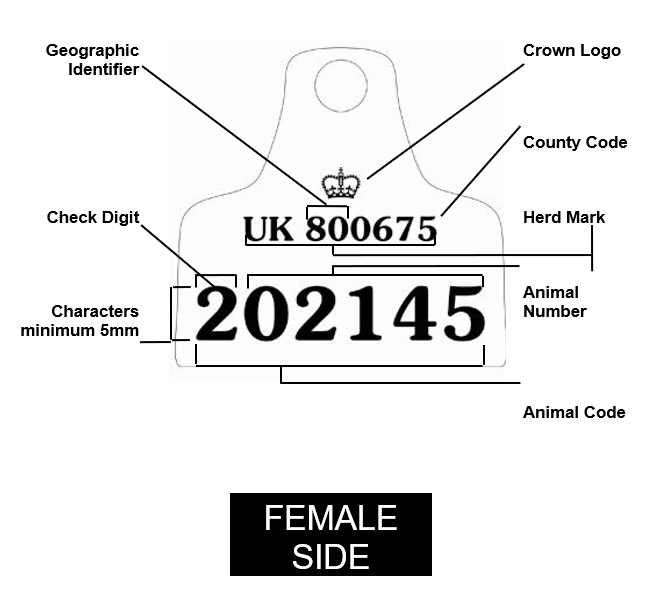 Primary Tag Female 1 Example of female side of primary ear tag option 1