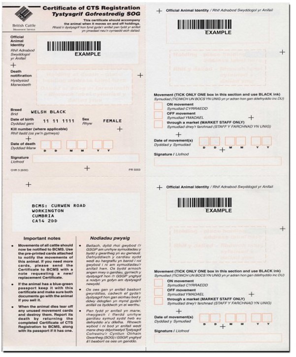 COR Example of Certificate of CTS registration (COR)