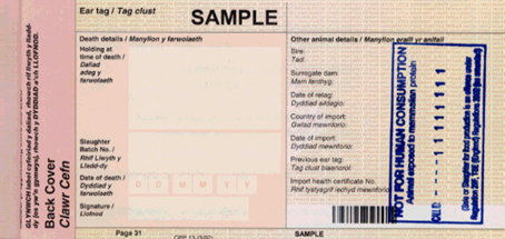 CPP 13 reverse Sample copy of a stamped passport "not for human consumption", picture 2.