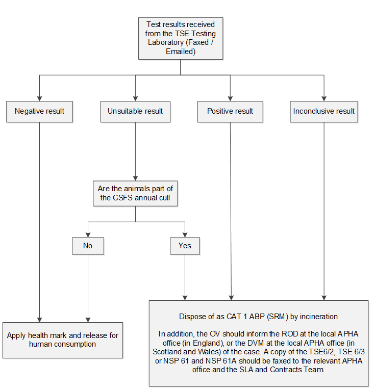 Test result flow chart. If a negative result, or an unsuitable result and the animal IS NOT part of the CSFS annual cull, apply health mark and release for human consumption. If a positive result, an inconclusive result, or an unsuitable result and the animal IS part of the CSFS annual cull, dispose of as cat 1 ABP (SRM) by incineration. In addition, the OV should inform the ROD at the local APHA office in England, or the DVM at the local APHA office in Wales and Scotland, of the case. A copy of the TSE 6/