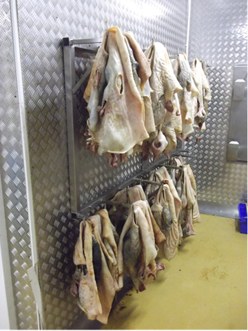 An image of cattle masks