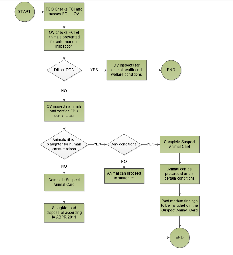 Flowchart summarising the ante-mortem inspection procedure