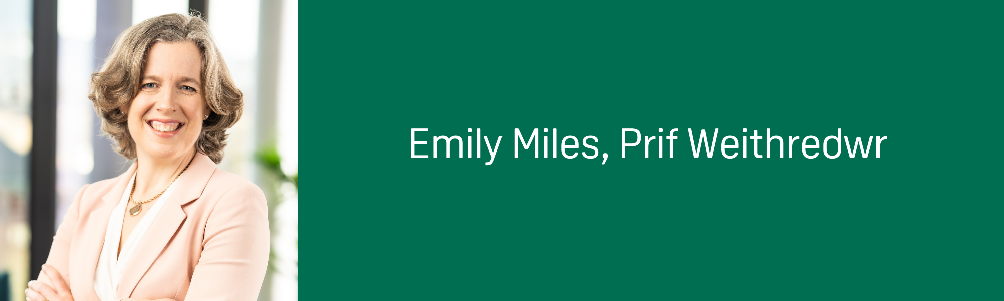 Emily Miles, Prif Weithredwr