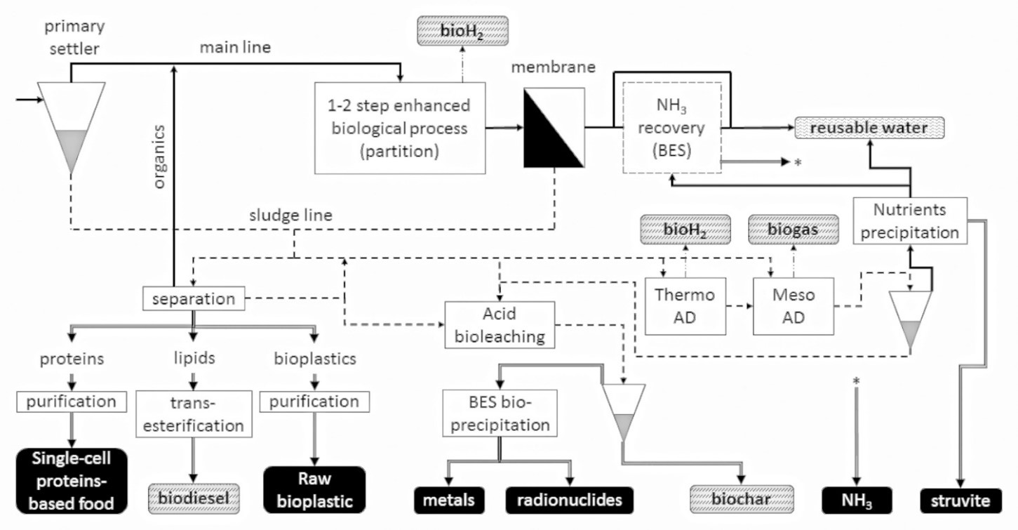 Figure displaying different biological technologies and pathways for wastewater treatment and recovery