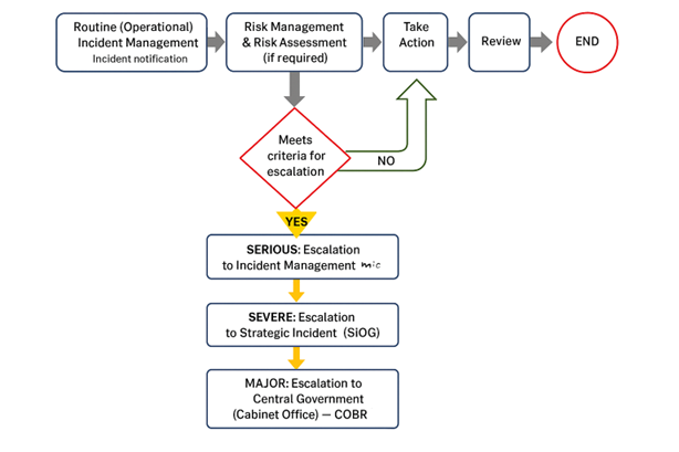 Alt text in long description.