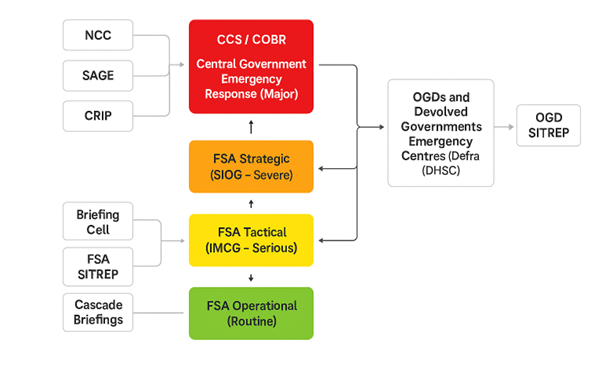 Alt text in long description.