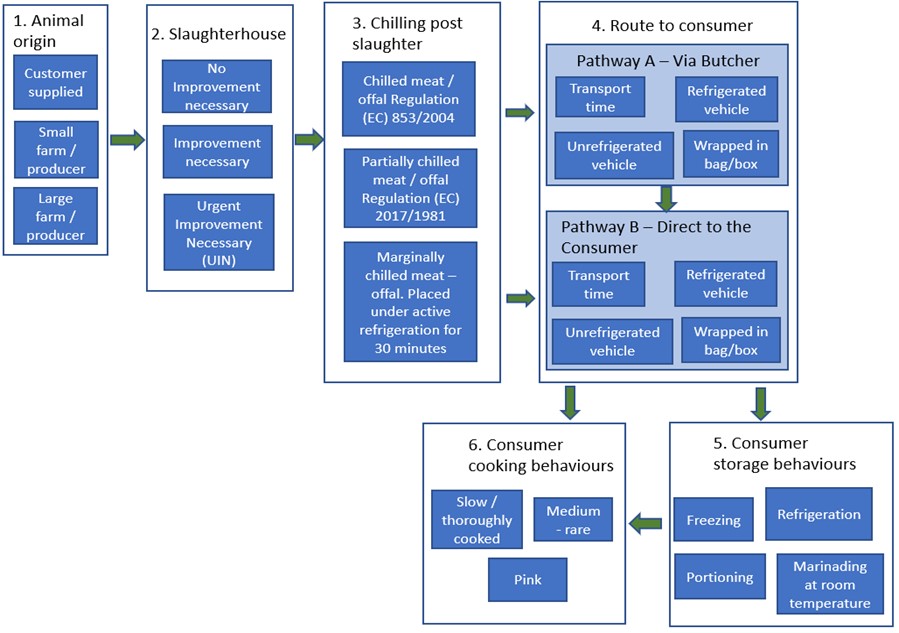 A flow chart showing the risk pathways for the supply of Qurbani meat from animal source to consumer.