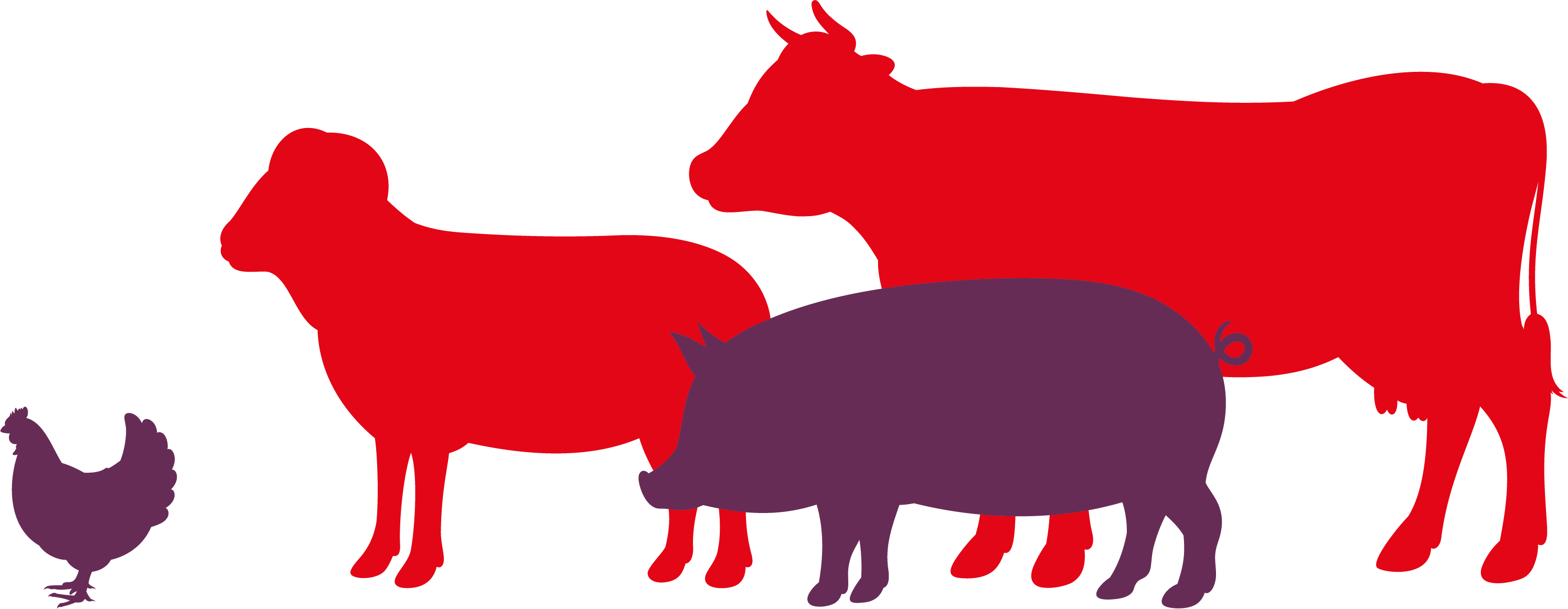 Competitors of FSA 2027