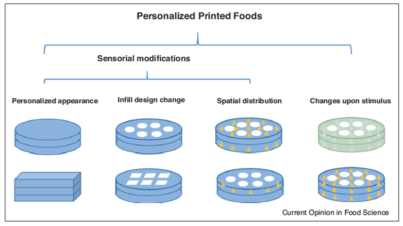 Textural design concepts for sensory modification using 3D and 4D printing, the images shows personalised appearance, infill design change, spatial distribution and changes upon stimulus. 