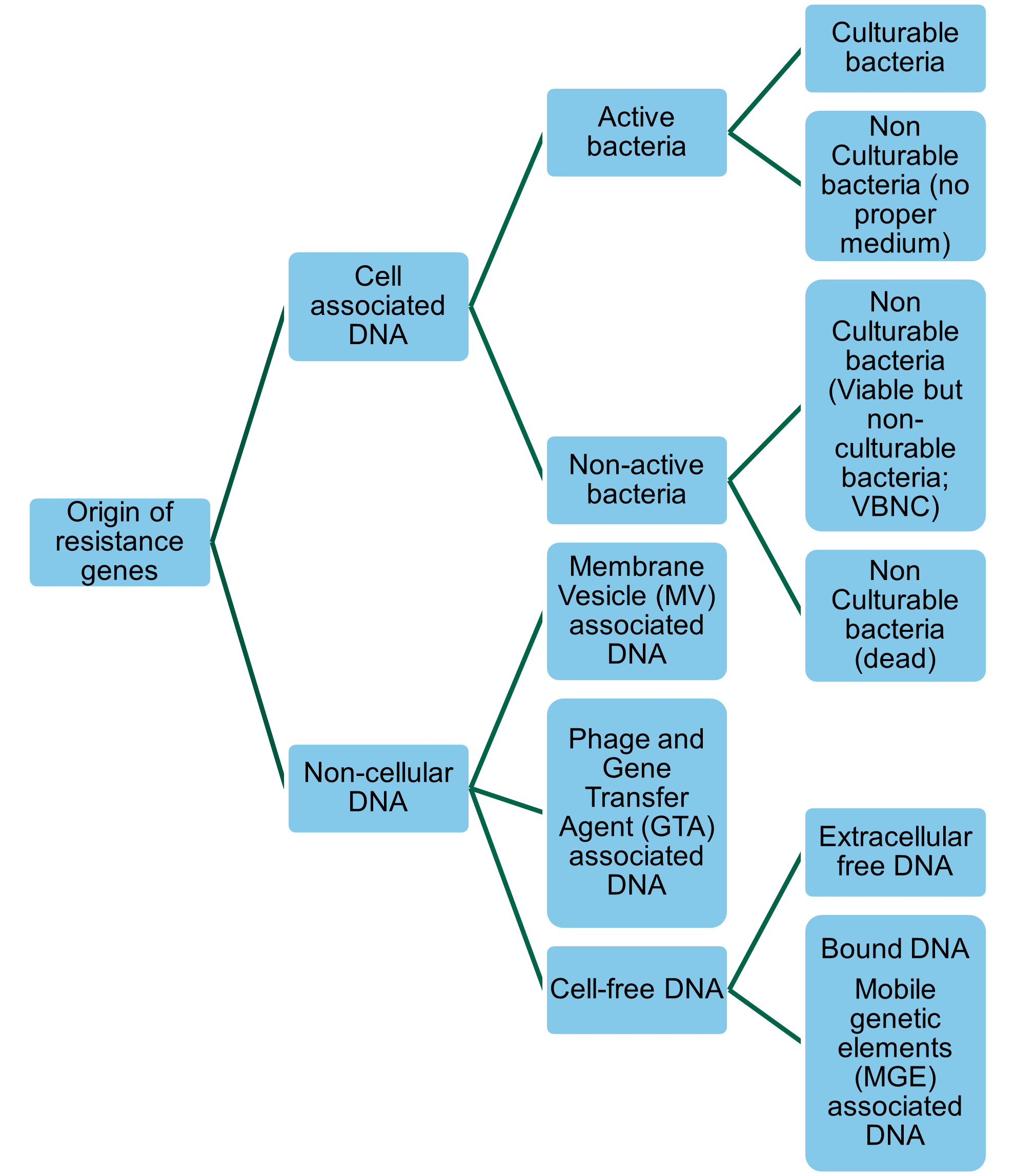 Flow chart showing the forms and origins or resistance genes 