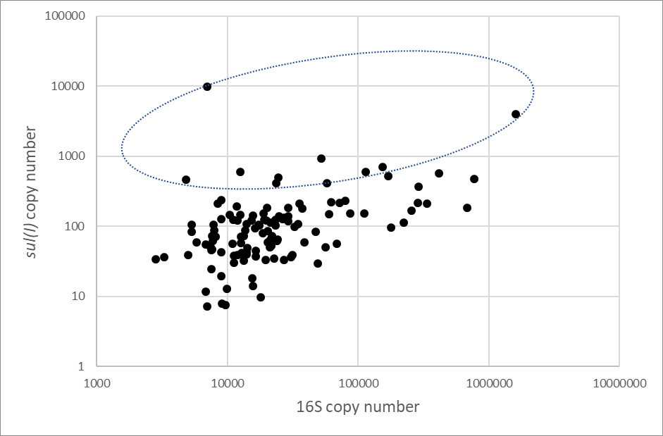 Scatter graph showing number estimates for 16S and sul(l) genes.