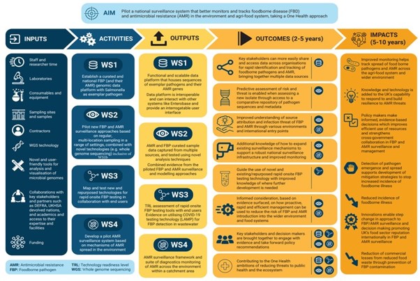 Infographic outlining the inputs, activities, outputs, outcomes and impacts of the PATHSAFE programme