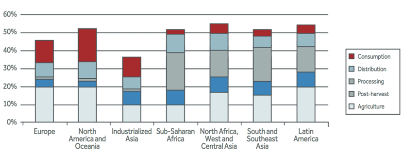 Graph showing the levels of fruit and vegetable wasted along different stages of the supply chain, highest wastage in consumption in North America and Oceania and Europe and highest agriculture wastage in Latin America and North America. 