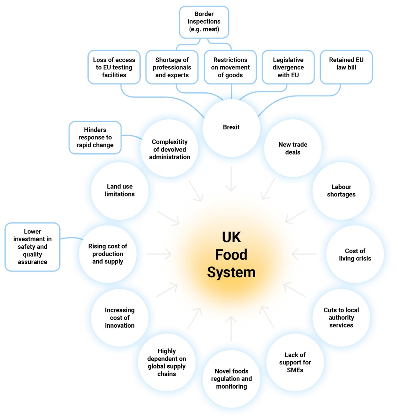 issues for the UK food system identified in the Strategic Assessment 2023