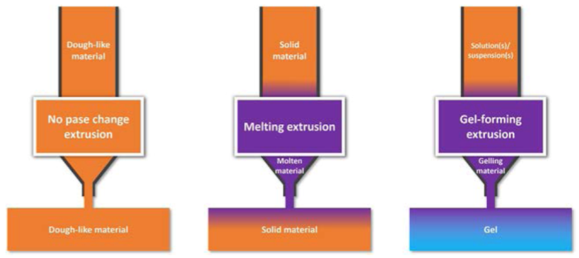 Types of extrusion printing no pase change extrusion, melting extrusion and gel-forming extrusion.