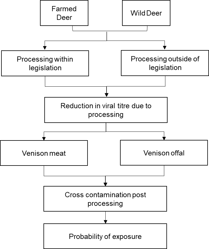 The primary risk pathway for SARS-CoV-2 in the deer supply chain