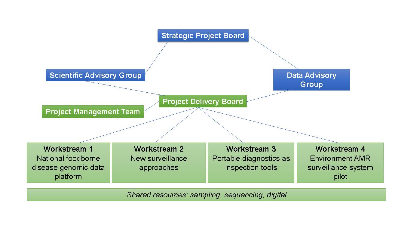 Programme structure organogram