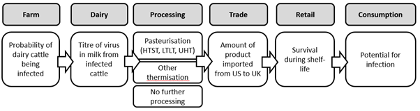 A flow chart showing the steps of the risk pathway of AI in dairy products. starting at Farm and ending in consumption.