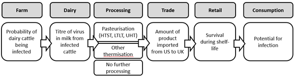 A flow chart showing the steps of the risk pathway of AI in dairy products.  starting at Farm and ending in consumption. 