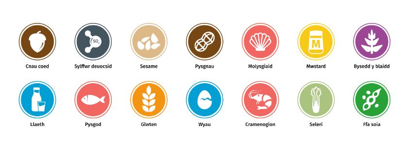 All 14 allergen icons in Welsh, full colour